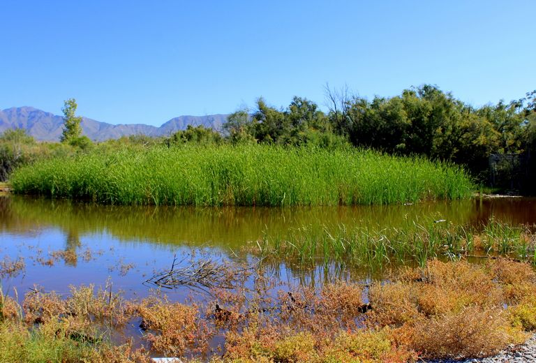 Keystone Heritage & Desert Botanical Park Destination El Paso El Paso, Texas