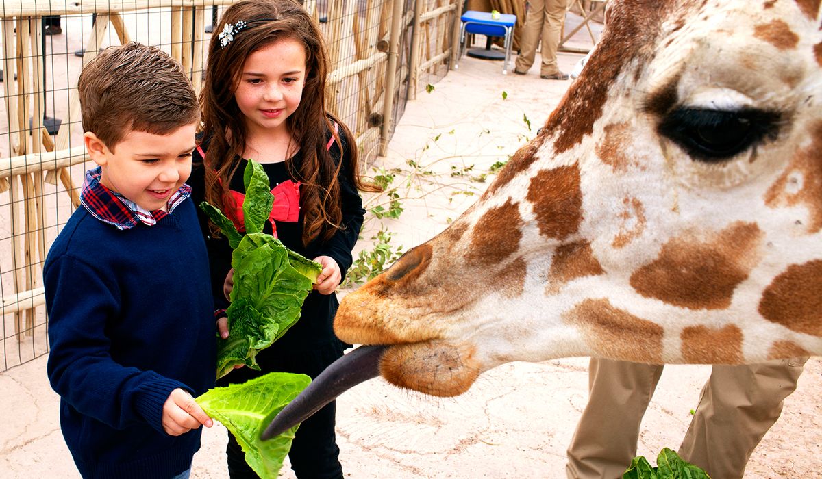 10 places to take the kids
